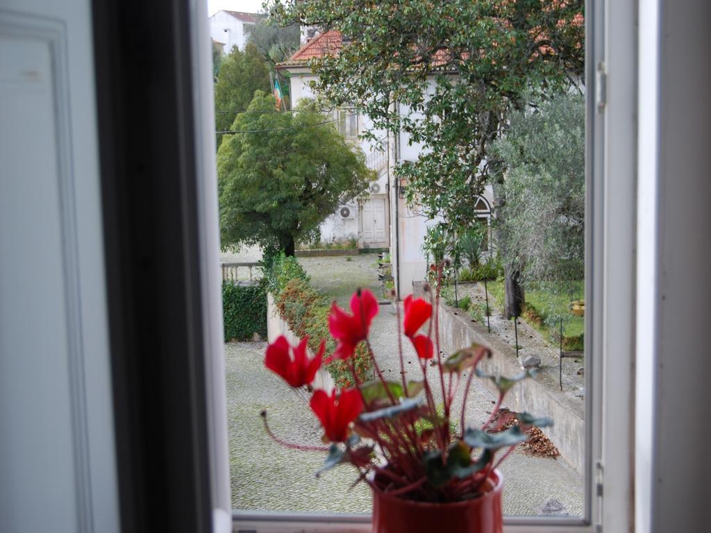 Adore Portugal Coimbra Guest House Exterior foto